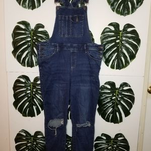 Plus Size Distressed Overalls
